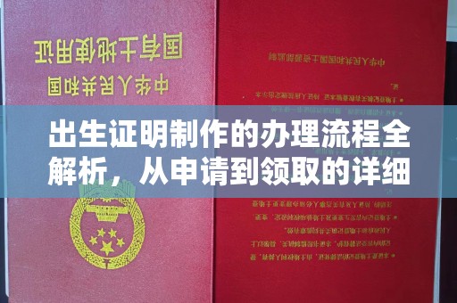 湖西出生证明制作的办理流程全解析，从申请到领取的详细指南